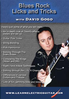 David Gogo: Blues Rock Licks and Tricks